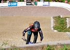 921H8703 bmx-tc-12-9-21